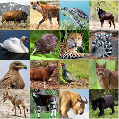 National Animals IV Quiz - By palmtree