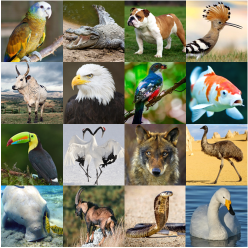 National Animals VI Quiz - By palmtree
