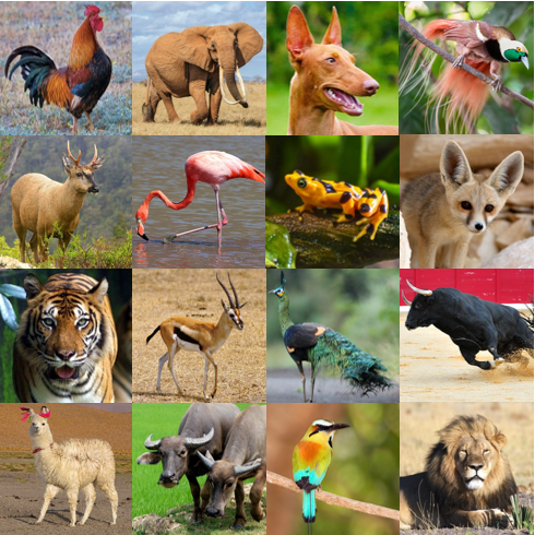 National Animals I Quiz - By palmtree
